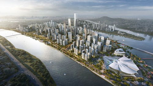 城市塔尖通行證 南沙金融島的天花板，憑什么是蔚派國際？